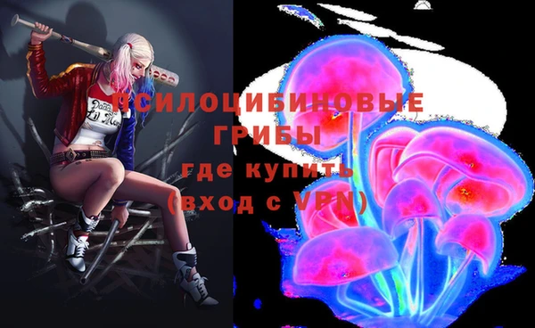 винт Каменногорск