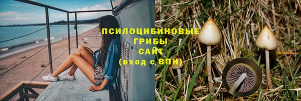не бодяженный Каменка