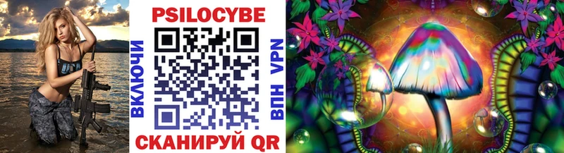 Купить где  Лагань  Псилоцибиновые грибы Psilocybine cubensis 